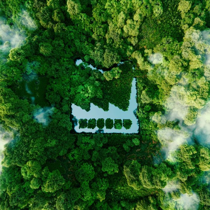 Net Zero, Digital Factory now, sostenibilidad, verde, CO2 neutro, medio ambiente, naturaleza, burbuja, fresco, greenhouse, global, globo, redondo, transparente, Moos, cubierto, bosque, brillante, luz