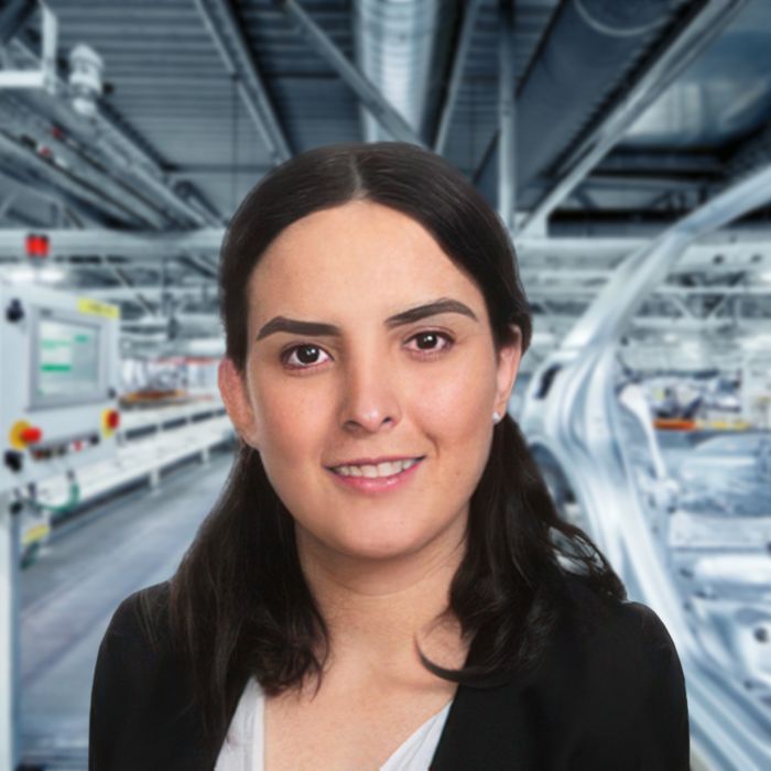 Maria Fernanda De Alba Ruiz