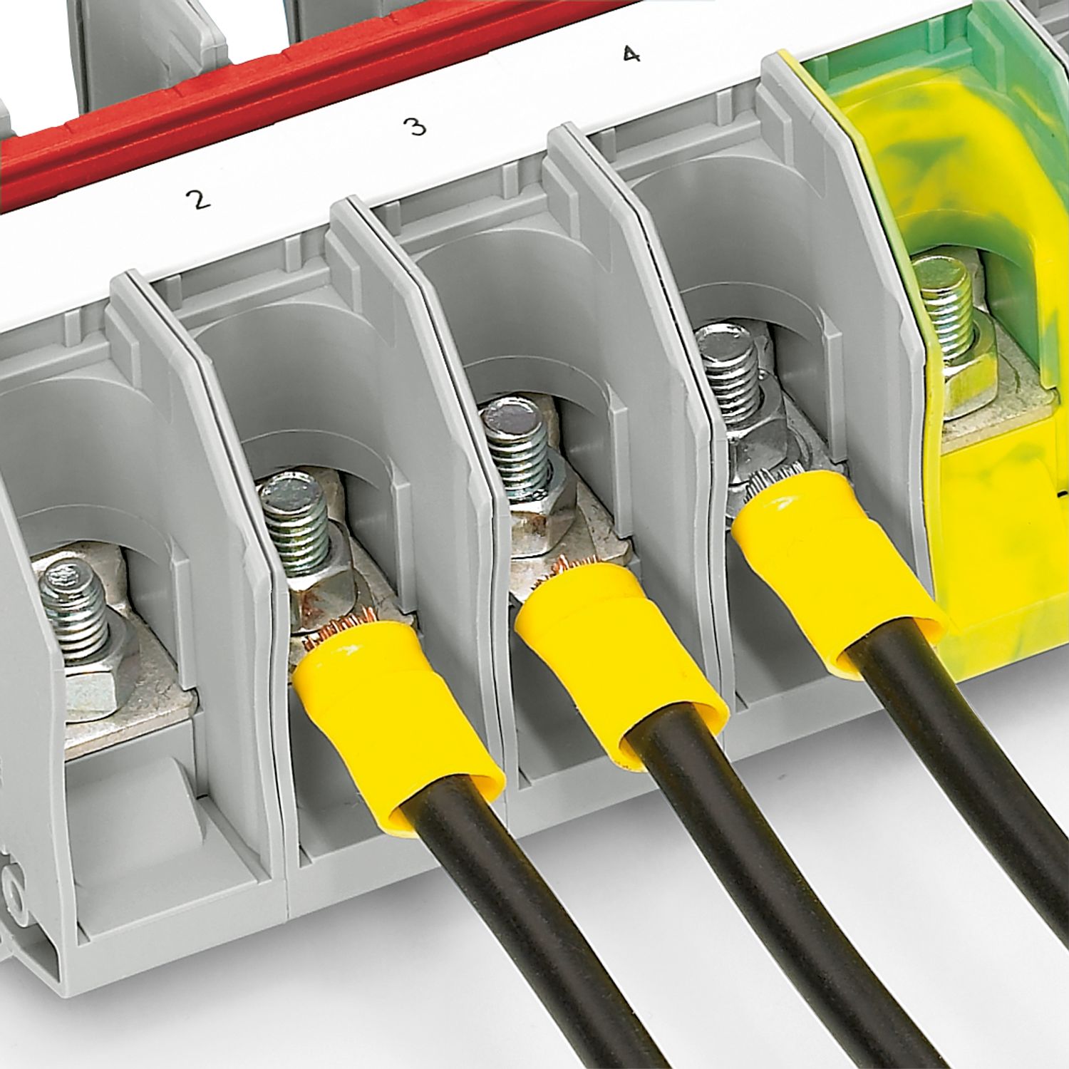 RTO 8-TC BU - Feed-through terminal block - 3049929