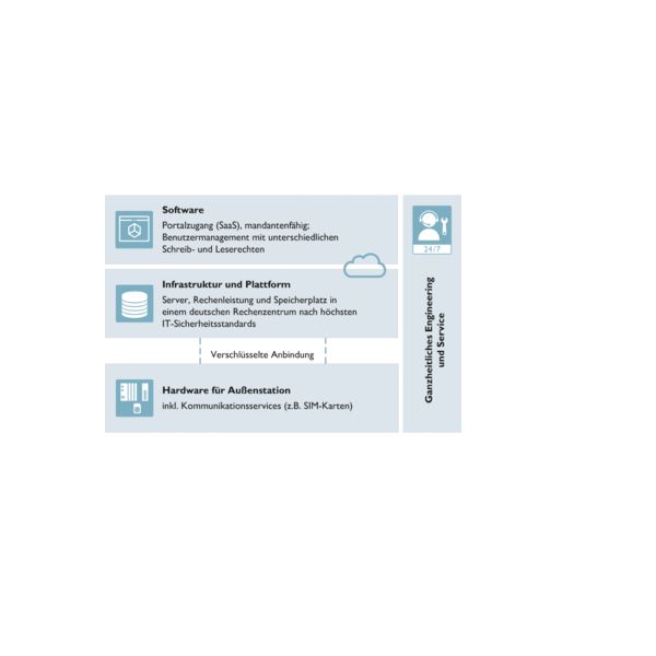 Software as a Service (SaaS)