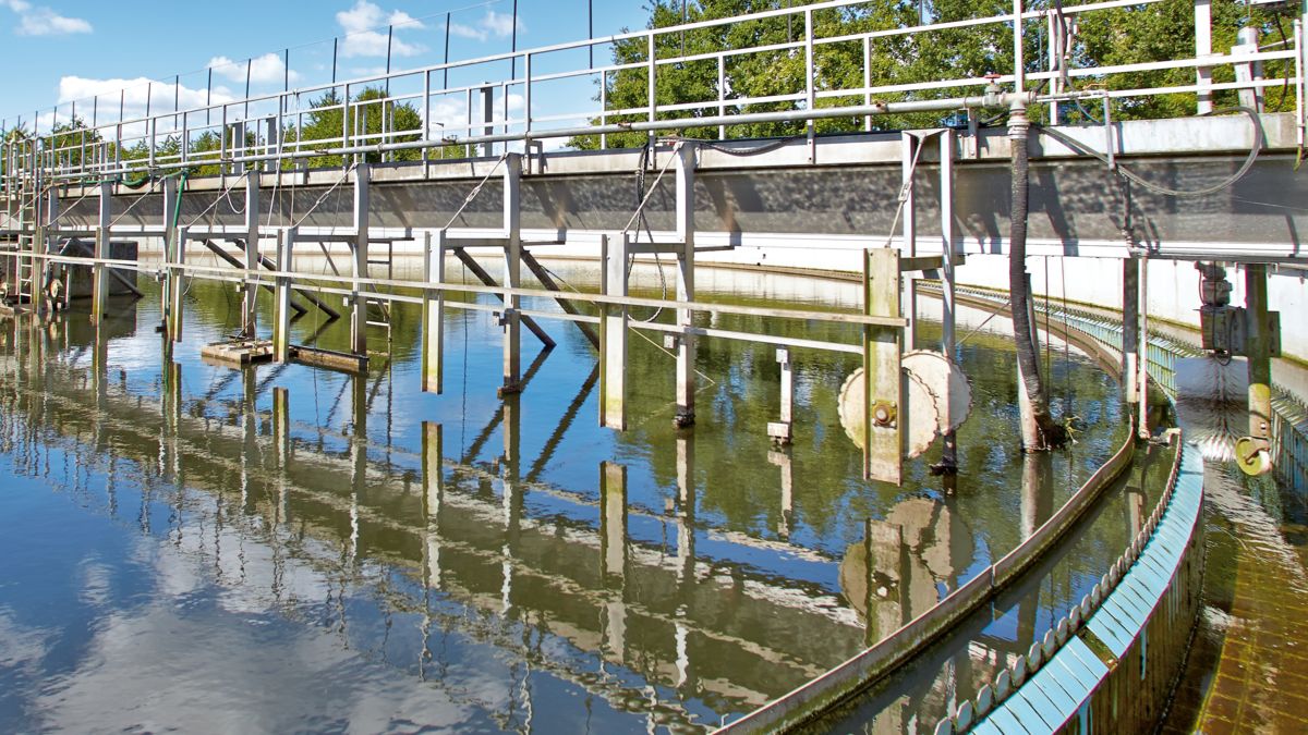 Final purification tanks 