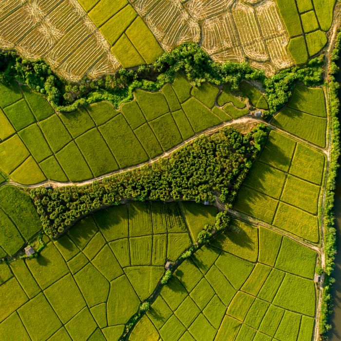 Aerial view of a landscape with green fields, forest, and a river