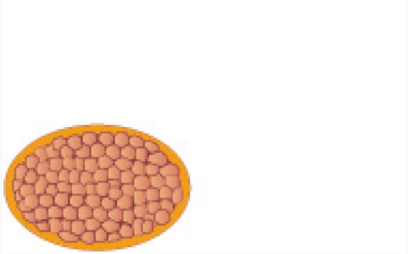 压线钳-CRIMPFOX-RCI 2,5